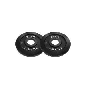 Body Power 2.5Kg Machined Cast Iron Olympic Weight Plates (x2)