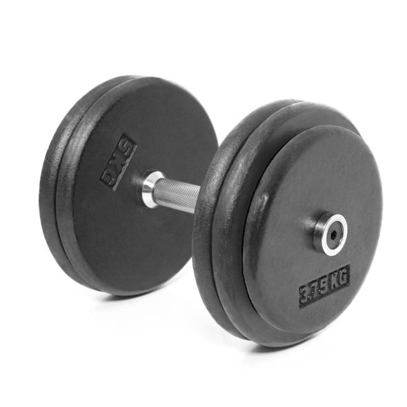 Body Power 27.5kg Pro-style Dumbbells (x2)